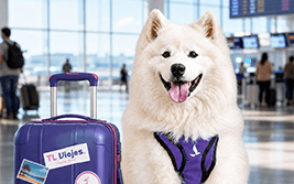 seguro_de_viaje_pet_friendly